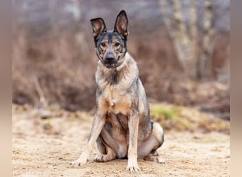Laura wünscht sich eine aktive Familie