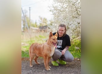 Wunderschöne Petty sucht ihren platz