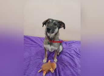 Verzaubert Lori dich mit ihren augen ?!