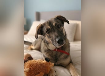 Verzaubert Lori dich mit ihren augen ?!