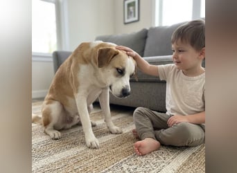 Jessie sucht ein aktives Leben