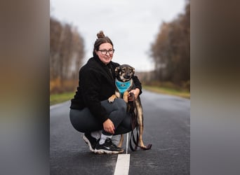 Liebevolle Olivka sucht ihren platz