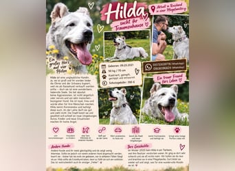 Wunderbare Hilda sucht Trauzuhause