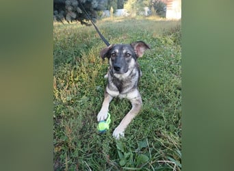 Verzaubert Lori dich mit ihren augen ?!