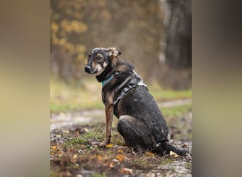 Liebevolle Olivka sucht ihren platz
