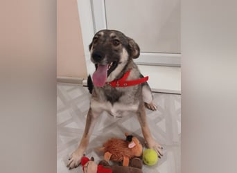 Verzaubert Lori dich mit ihren augen ?!