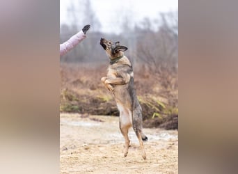 Laura wünscht sich eine aktive Familie