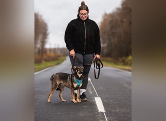 Liebevolle Olivka sucht ihren platz