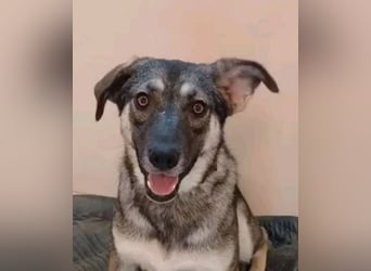 Verzaubert Lori dich mit ihren augen ?!