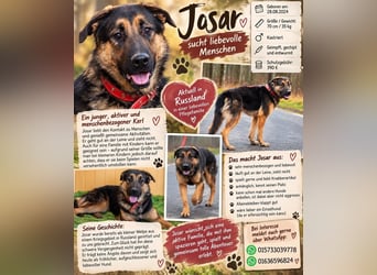 Josar sucht liebvolle Menschen