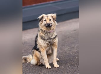 Aktiv und fröhlich durchs Leben mit Lora