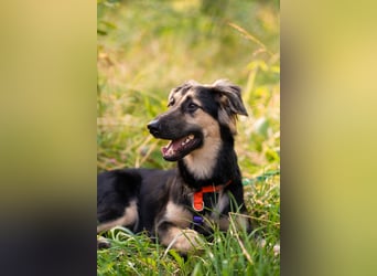 Der mutige Philip sucht seine Menschen