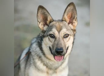 Aktive Bulochka sucht aktive Menschen