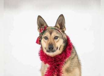 Aktive Bulochka sucht aktive Menschen