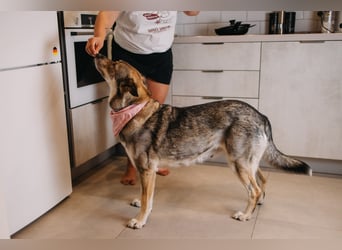 Wundervolle Dana sucht Endstelle