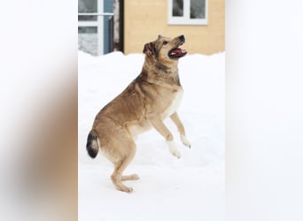 Lyon möchte endlich Liebe und wärme spüren