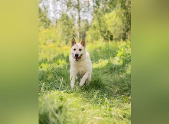 Grey ist aktiv im Leben