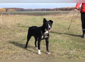 Mike sucht Traumzuhause