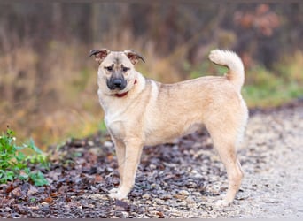 Iriska sucht liebe Menschen