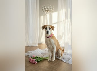 Jessie sucht ein aktives Leben