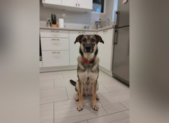 Verzaubert Lori dich mit ihren augen ?!