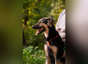 Der mutige Philip sucht seine Menschen