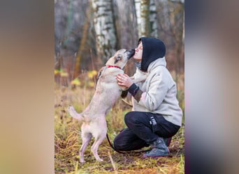 Iriska sucht liebe Menschen