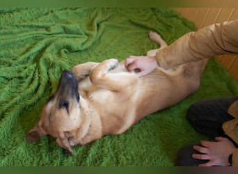 Junge hübsche Leia sucht Familie