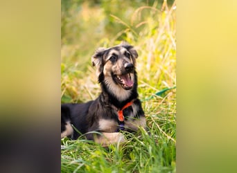 Der mutige Philip sucht seine Menschen