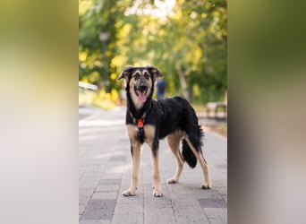 Der mutige Philip sucht seine Menschen