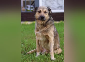 Lyon möchte endlich Liebe und wärme spüren