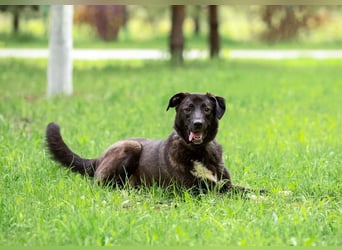 Betty will nur wärme und liebe...