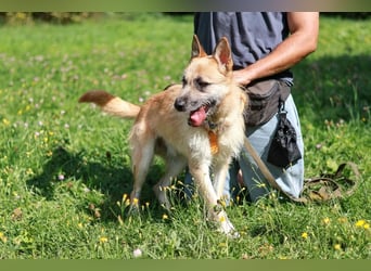 Arisu sucht Familie für immer
