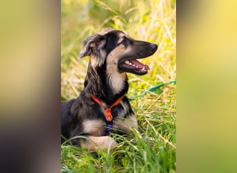 Der mutige Philip sucht seine Menschen