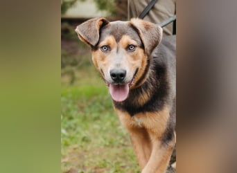 Zauberhafte Rocky verzaubert alle
