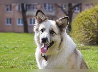 Sheila will liebe und Zuneigung