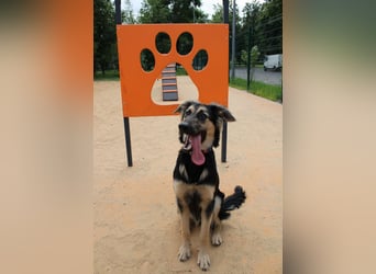 Der mutige Philip sucht seine Menschen