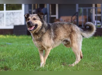 Lyon möchte endlich Liebe und wärme spüren