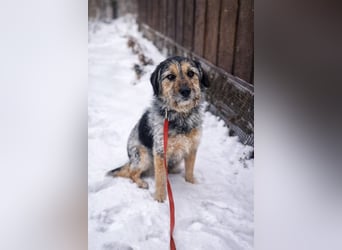 Belle hat großes Herz zu Verschenken