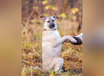 Iriska sucht liebe Menschen