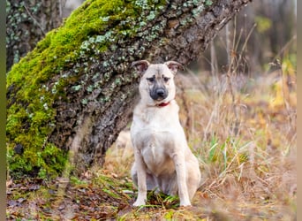 Iriska sucht liebe Menschen
