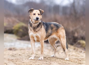 Mit wem kann Nora durch dick und dünn gehen?!