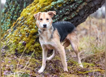 Asya ist schüchtern aber mit viel liebe...