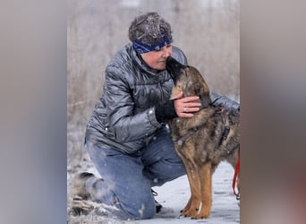 Ein Herz für Vasilisa geben Sie ihr eine Chance auf ein glückliches Leben!