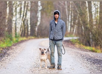 Iriska sucht liebe Menschen