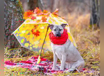 Iriska sucht liebe Menschen