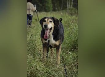 Dania sucht endplatz für immer