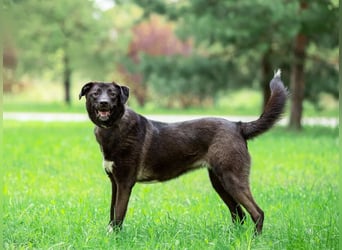 Betty will nur wärme und liebe...