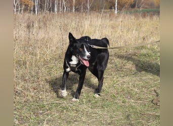 Mike sucht Traumzuhause