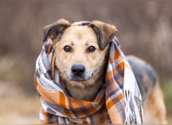 Mit wem kann Nora durch dick und dünn gehen?!